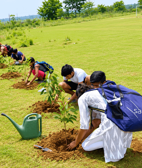 Roots for the Future